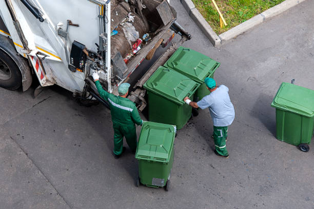 Yard Cleanup Services in Ball Pond, CT